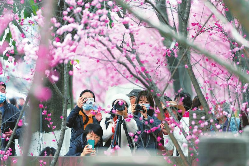 春节假期第六天，四川A级景区接待