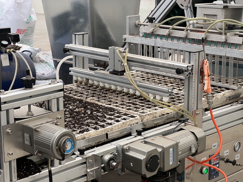 宜宾翠屏区：科技育苗为农业添动能