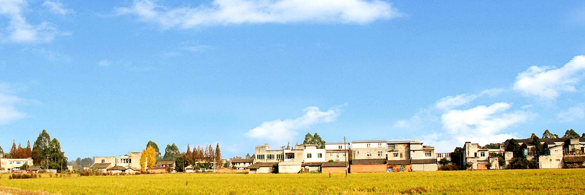 籍田连村公路