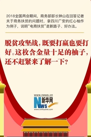 全局中的四川㊵H5丨商务部部长专门提到广安的柚子，了解一下？