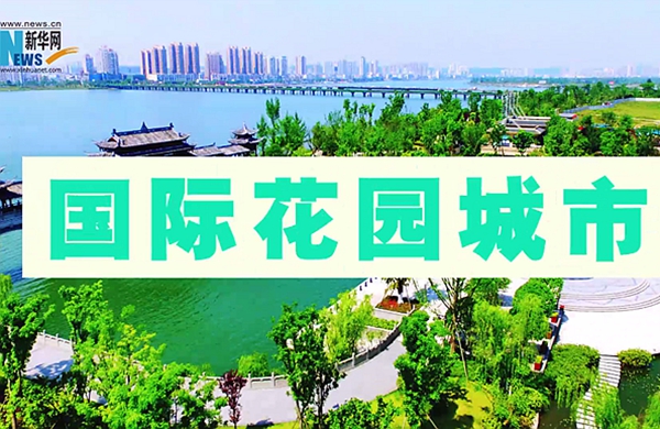 新华网动画丨约吗？全国顶尖龙舟队将在绿色遂宁激情竞渡！