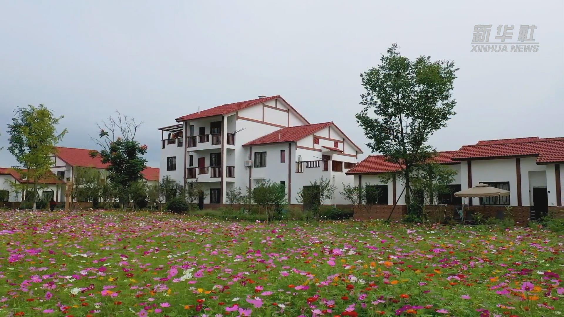 绵竹年俗村：非遗助力 乡村移步换景似画境