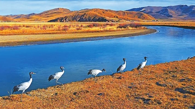 前10月8条流域国考断面 水质优良率100％