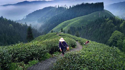 绿水青山唤回了&ldquo;外嫁&rdquo;小伙