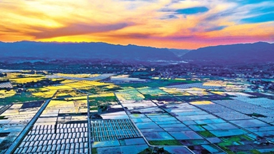 乡村振兴重点帮扶县如何一起跑？