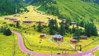 成都高新区助力 甘孜州德格县乡村振兴再添新动能