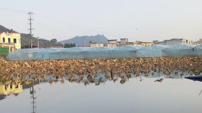 国社@四川｜四川：多年闲置&ldquo;小资产&rdquo; 如今派上&ldquo;大用场&rdquo;