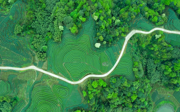 国社@四川｜四川：六项举措保障绿色低碳优势产业高质量发展