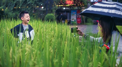 国社@四川｜向美而行 向好发展&mdash;&mdash;开局之年的&ldquo;民生答卷&rdquo;