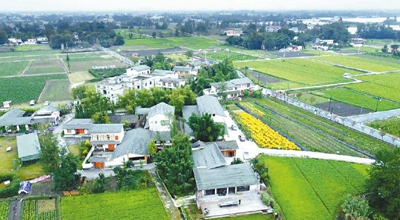 成都绘就超大城市农业农村现代化新画卷