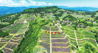 四川从&ldquo;脱贫&rdquo;再起笔：精准防返贫 长效促振兴