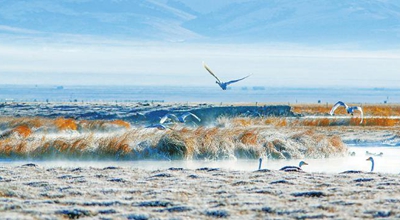 《阿坝州推动黄河流域生态保护治理和高质量发展实施方案（2021&mdash;2030）》出台