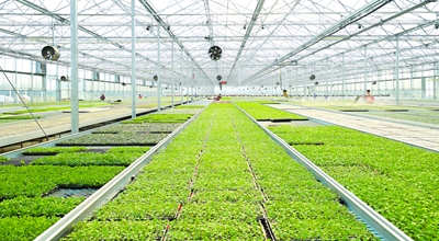 《成都市&ldquo;十四五&rdquo;农业农村现代化规划》正式印发