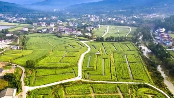 四川高标准农田保有量到2030年将达6353万亩