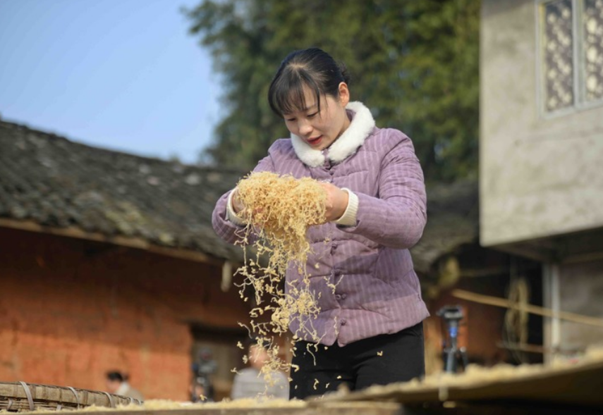 国社@四川｜这个四川妹子去年卖了4000万斤萝卜