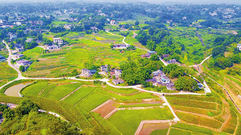 今年四川&ldquo;三农&rdquo;工作有这些新信号