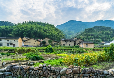 95万！农民工返乡创业潮起