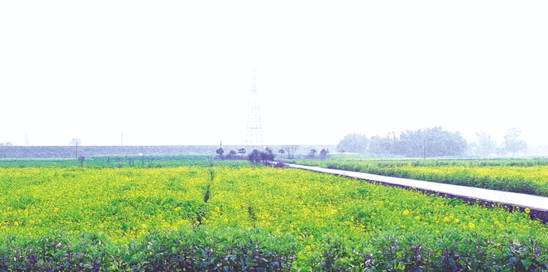 崇州：经济地理重塑 催生农村新产业新模式