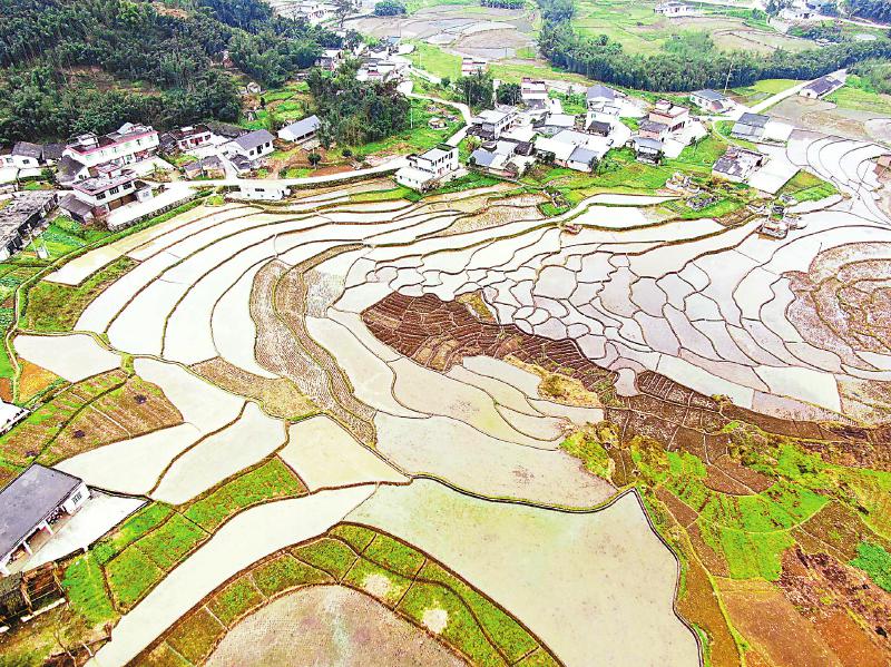 玩转&ldquo;水稻+&rdquo; &ldquo;巴掌田&rdquo;会赚钱