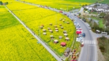 【&ldquo;飞阅&rdquo;中国】&ldquo;最美乡村公路&rdquo;油菜花海美如画