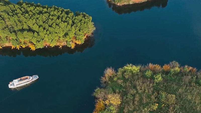 &ldquo;天府明珠&rdquo;碧波荡 众鸟舞翩跹