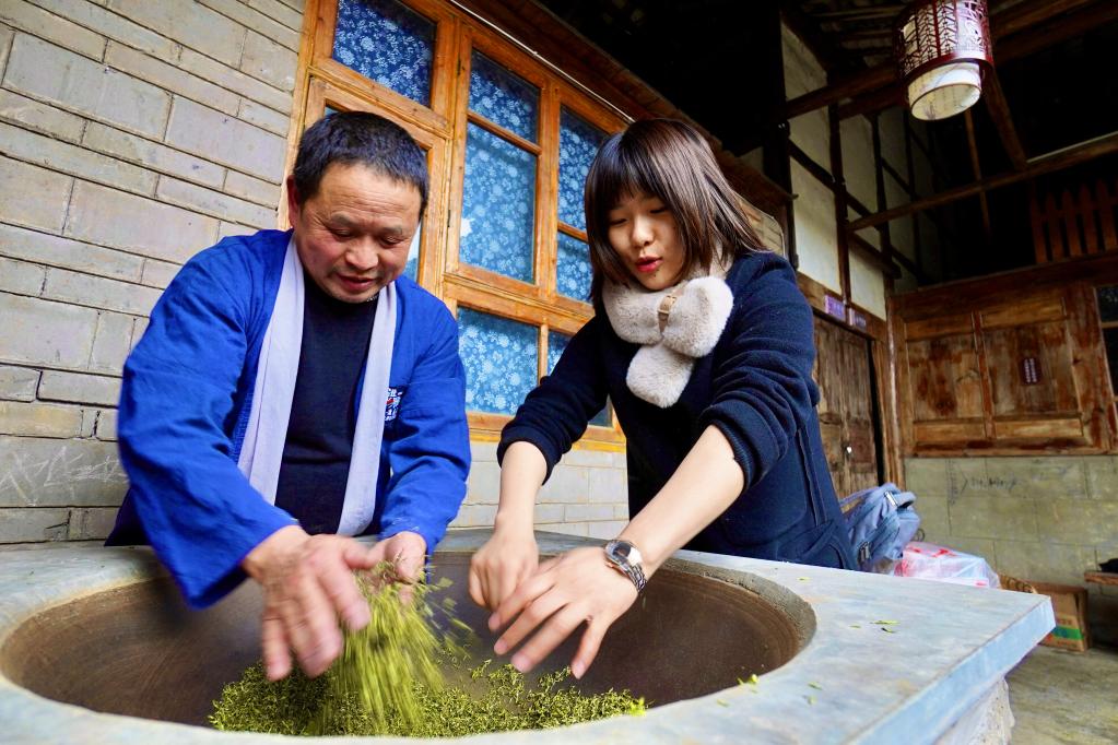 国社@四川｜四川洪雅：茶产业助力乡村振兴