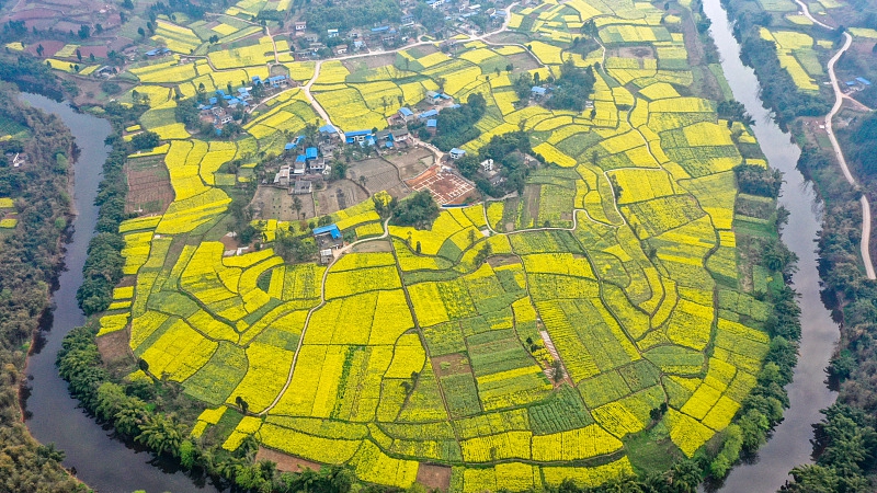 支持新型农村集体经济发展 今年将新增扶持1292个村