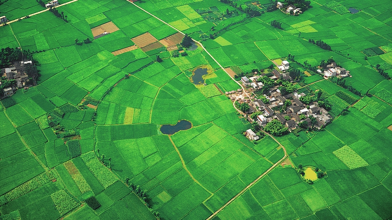 四川将培育创建&ldquo;三绿&rdquo;宜居低碳示范县城