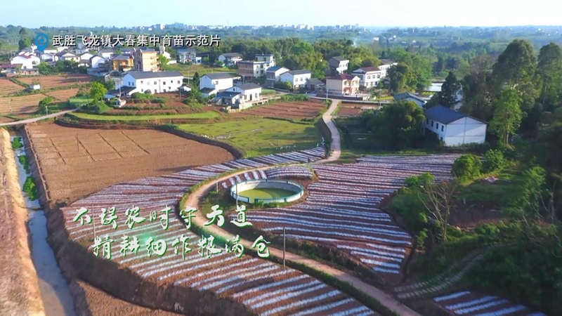 四川武胜：不误农时绘出春耕画卷