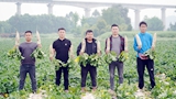 从重庆潼南到四川乐山 5名90后开启田园梦