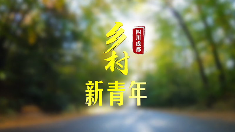 我们正青春｜乡村新青年：传承、创新与先行，三个年轻人的乡村振兴密码