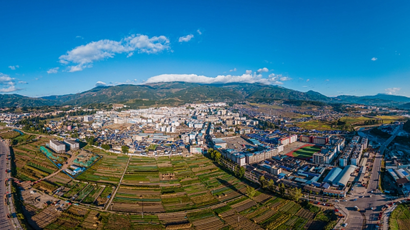 洛古有格的三个梦想