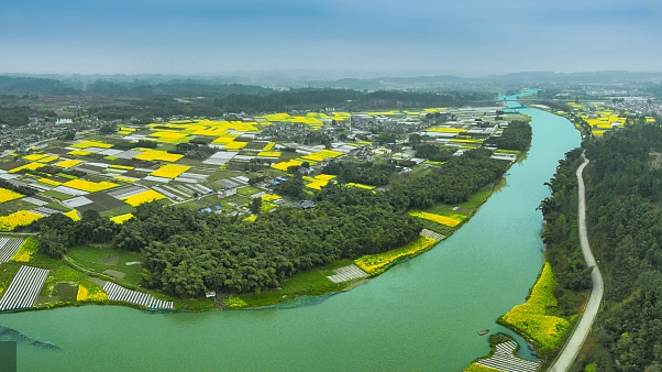 2022年1－4月四川水环境质量报告出炉