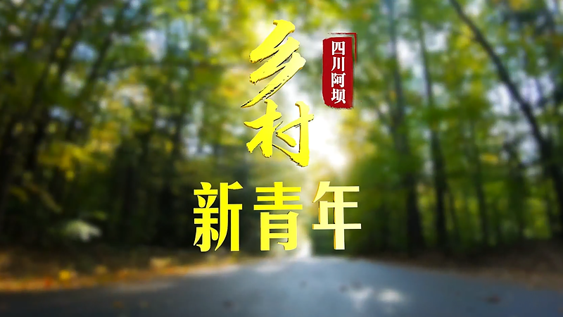 乡村新青年｜他们回到大山 为了让山货走得更远