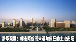 新华观察：楼市降价潮来袭与疯狂的土地市场